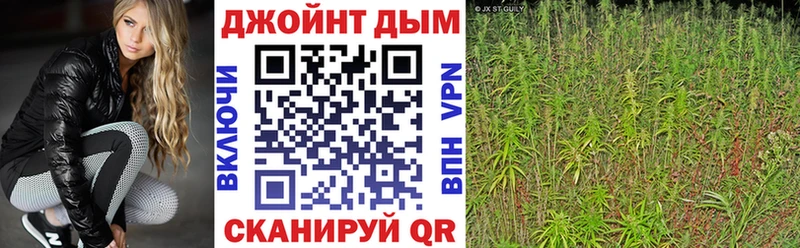 как найти закладки  Ефремов  OMG вход  Каннабис MAZAR 